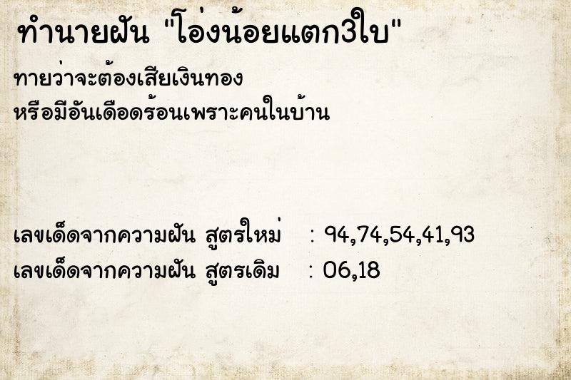 ทำนายฝันโอ่งน้อยแตก3ใบ ทำนายฝันทำนายฝันโอ่งน้อยแตก3ใบ
