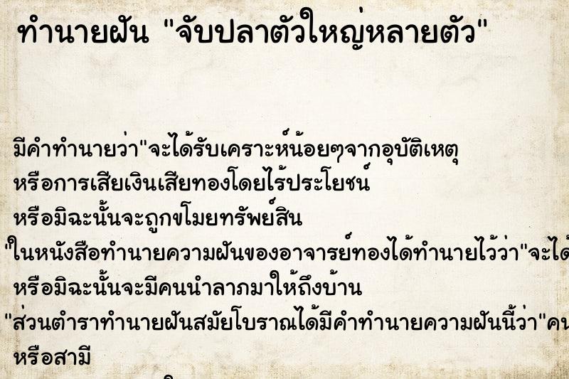 ทำนายฝัน จับปลาตัวใหญ่หลายตัว ตำราโบราณ แม่นที่สุดในโลก