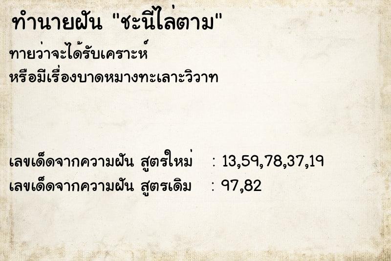 ทำนายฝันชะนีไล่ตาม ทำนายฝันทำนายฝันชะนีไล่ตาม