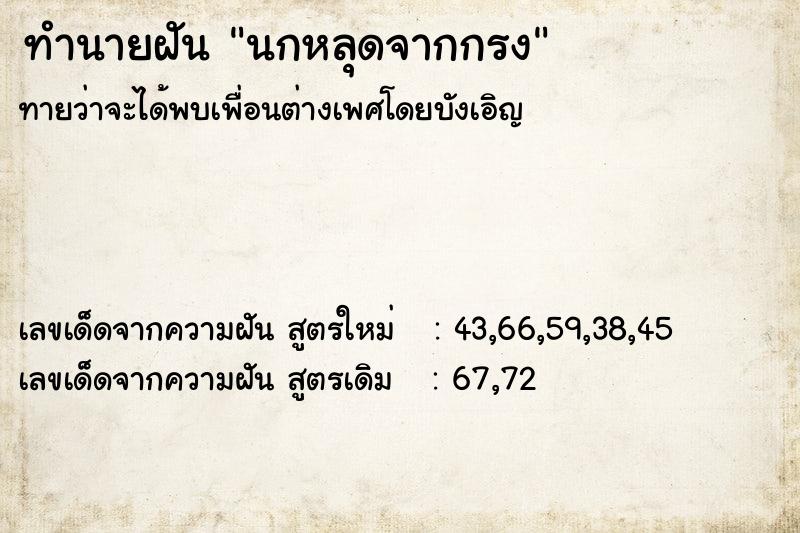 ทำนายฝัน นกหลุดจากกรง ทำนายฝัน นกหลุดจากกรง
