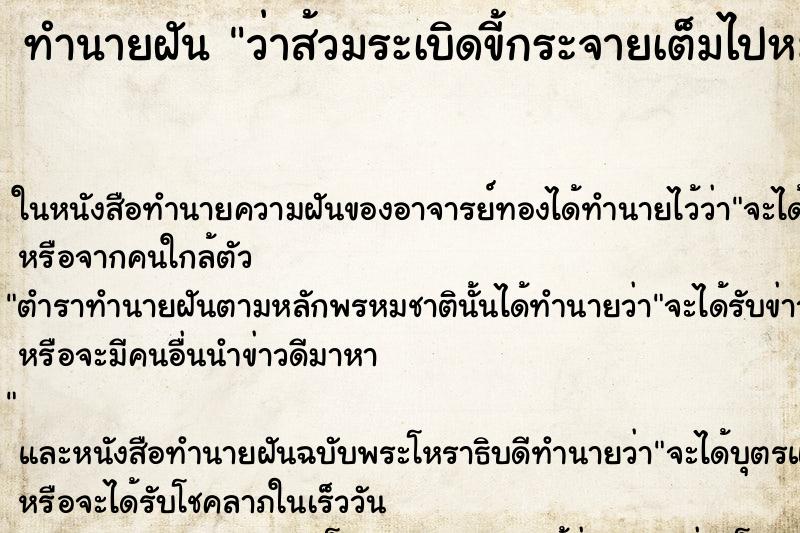 ทำนายฝัน ว่าส้วมระเบิดขี้กระจายเต็มไปหมด ทำนายฝัน ว่าส้วมระเบิดขี้กระจายเต็มไปหมด