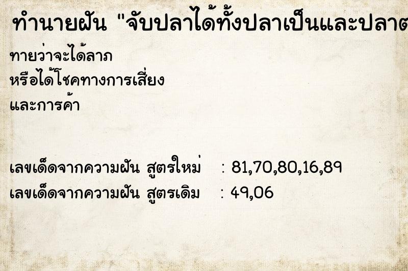 ทำนายฝัน จับปลาได้ทั้งปลาเป็นและปลาตาย ทำนายฝัน จับปลาได้ทั้งปลาเป็นและปลาตาย