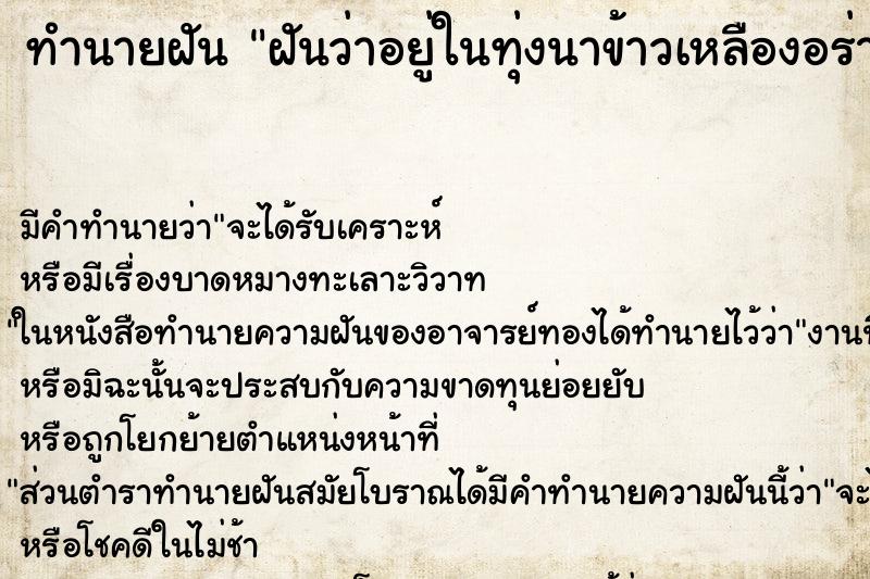 ทำนายฝัน ฝันว่าอยู่ในทุ่งนาข้าวเหลืองอร่าม ทำนายฝัน ฝันว่าอยู่ในทุ่งนาข้าวเหลืองอร่าม