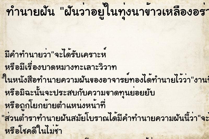 ทำนายฝัน ฝันว่าอยู่ในทุ่งนาข้าวเหลืองอร่าม ตำราโบราณ แม่นที่สุดในโลก