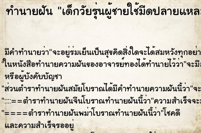ทำนายฝันเด็กวัยรุ่นผู้ชายใช้มีดปลายแหลมแทงด้านหลัง ทำนายฝันทำนายฝันเด็กวัยรุ่นผู้ชายใช้มีดปลายแหลมแทงด้านหลัง