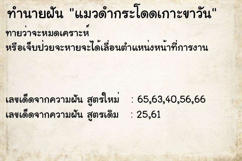 ทำนายฝันแมวดำกระโดดเกาะขาวัน ทำนายฝันทำนายฝันแมวดำกระโดดเกาะขาวัน
