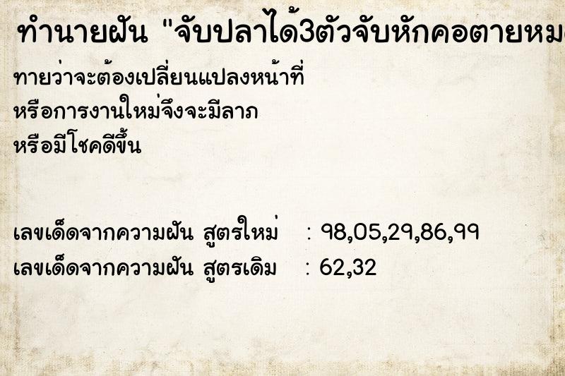 ทำนายฝันจับปลาได้3ตัวจับหักคอตายหมด ทำนายฝันทำนายฝันจับปลาได้3ตัวจับหักคอตายหมด