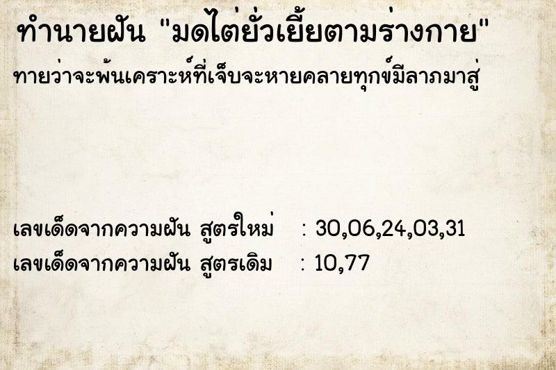 ทำนายฝัน มดไต่ยั่วเยี้ยตามร่างกาย ตำราโบราณ แม่นที่สุดในโลก