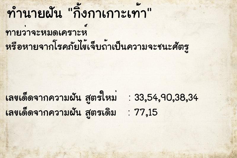 ทำนายฝันกิ้งกาเกาะเท้า ทำนายฝันทำนายฝันกิ้งกาเกาะเท้า