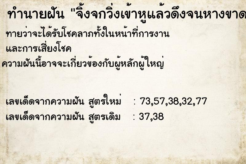 ทำนายฝันทำนายฝันจิ้งจกวิ่งเข้าหูแล้วดึงจนหางขาด