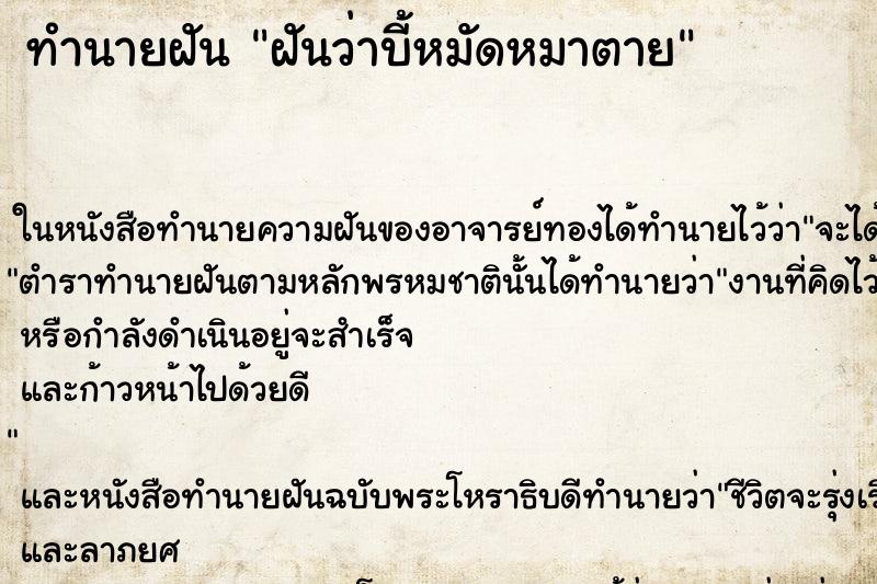 ทำนายฝันทำนายฝันฝันว่าบี้หมัดหมาตาย