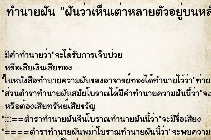 ทำนายฝันทำนายฝันฝันว่าเห็นเต่าหลายตัวอยู่บนหลังคาบ้าน