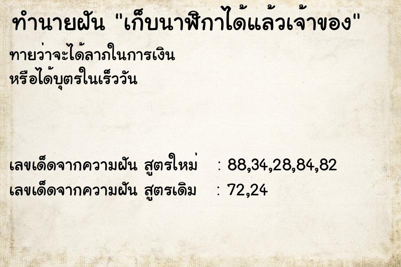 ทำนายฝันเก็บนาฬิกาได้แล้วเจ้าของ ทำนายฝันทำนายฝันเก็บนาฬิกาได้แล้วเจ้าของ