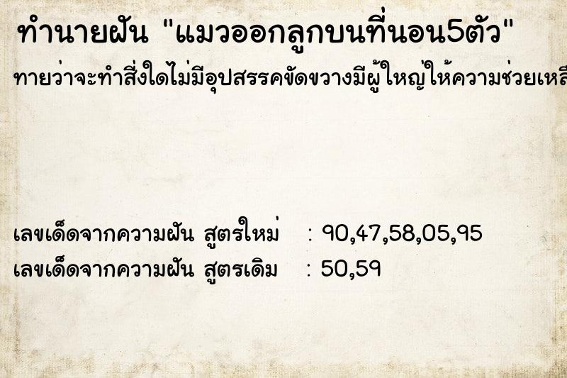 ทำนายฝันทำนายฝันแมวออกลูกบนที่นอน5ตัว