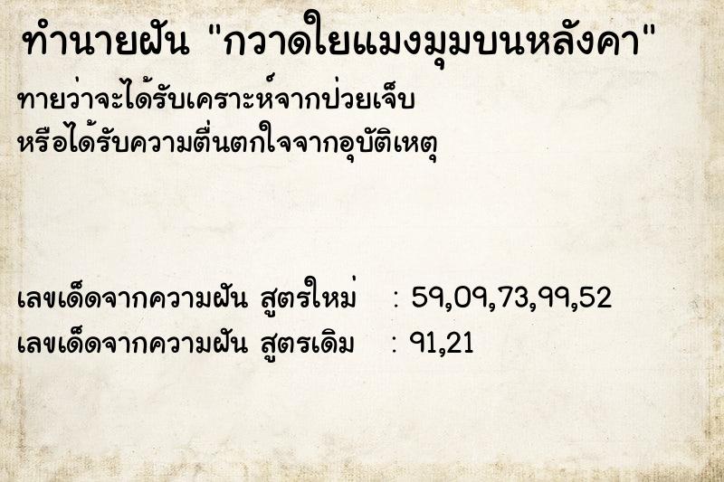 ทำนายฝันทำนายฝันกวาดใยแมงมุมบนหลังคา