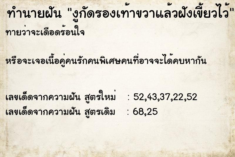 ทำนายฝันงูกัดรองเท้าขวาแล้วฝังเขี้ยวไว้ ทำนายฝันทำนายฝันงูกัดรองเท้าขวาแล้วฝังเขี้ยวไว้