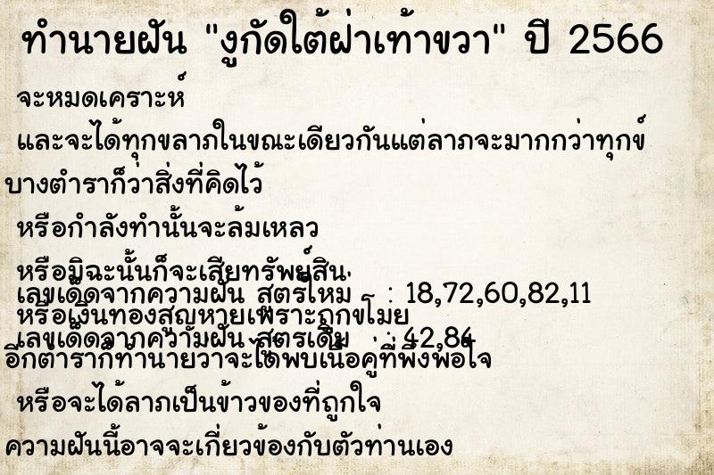 ทำนายฝัน งูกัดใต้ฝ่าเท้าขวา ทำนายฝัน งูกัดใต้ฝ่าเท้าขวา