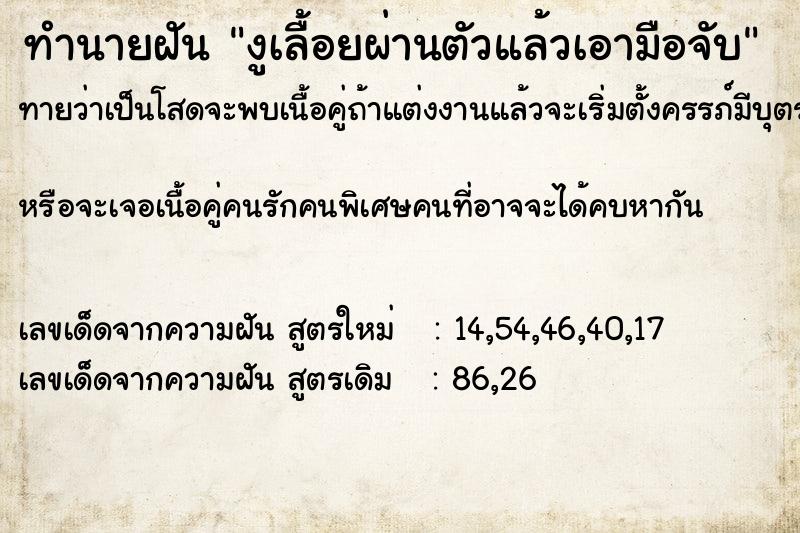 ทำนายฝันงูเลื้อยผ่านตัวแล้วเอามือจับ ทำนายฝันทำนายฝันงูเลื้อยผ่านตัวแล้วเอามือจับ