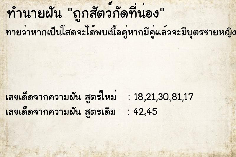ทำนายฝันถูกสัตว์กัดที่น่อง ทำนายฝันทำนายฝันถูกสัตว์กัดที่น่อง