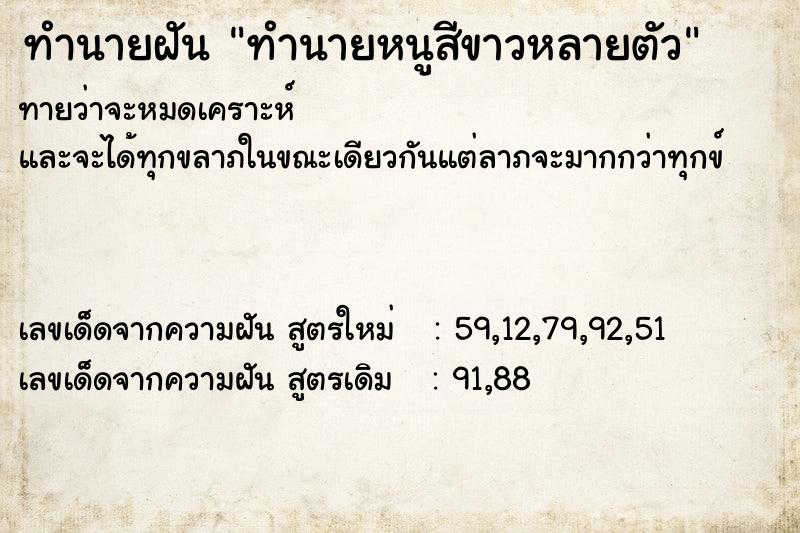 ทำนายฝันทำนายหนูสีขาวหลายตัว ทำนายฝันทำนายฝันทำนายหนูสีขาวหลายตัว