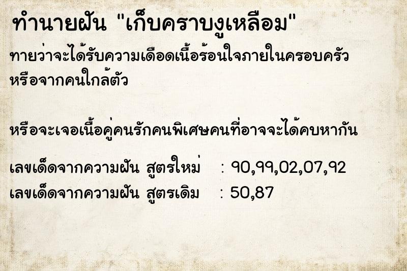 ทำนายฝันทำนายฝันเก็บคราบงูเหลือม