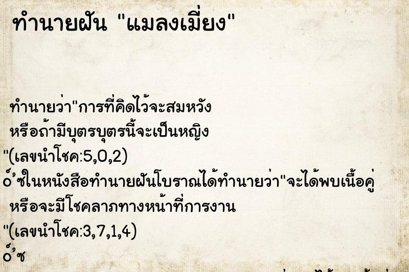 ทำนายฝันแมลงเมี่ยง ทำนายฝันทำนายฝันแมลงเมี่ยง