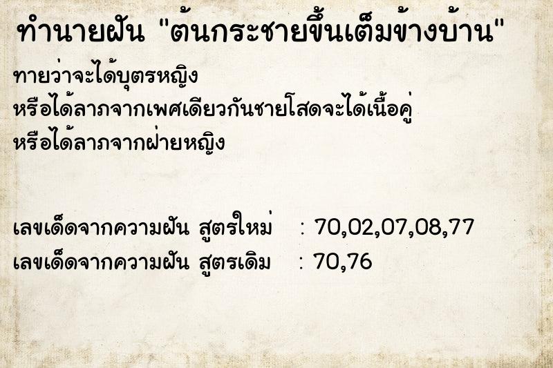 ทำนายฝันทำนายฝันต้นกระชายขึ้นเต็มข้างบ้าน