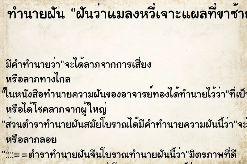 ทำนายฝัน ฝันว่าแมลงหวี่เจาะแผลที่ขาซ้าย ตำราโบราณ แม่นที่สุดในโลก