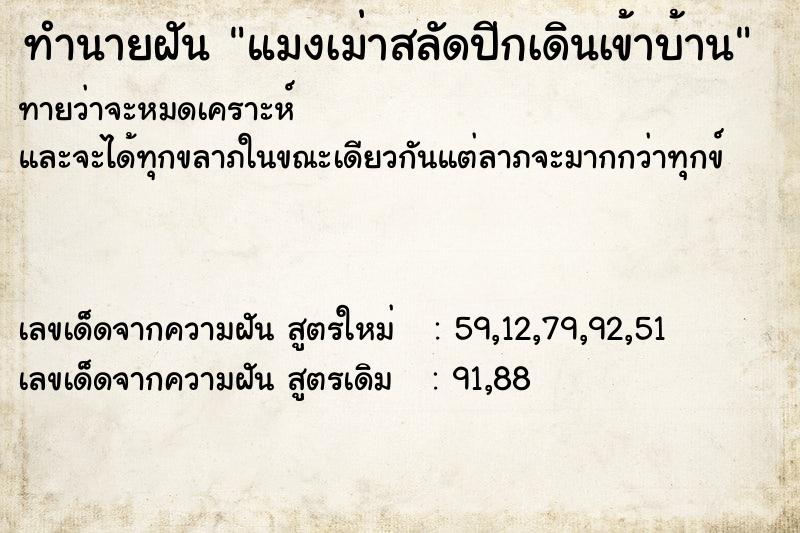 ทำนายฝันทำนายฝันแมงเม่าสลัดปีกเดินเข้าบ้าน
