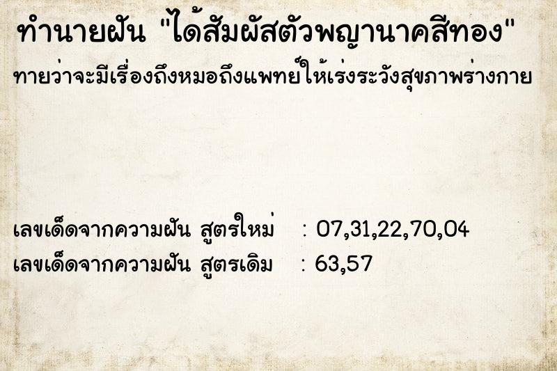 ทำนายฝันทำนายฝันได้สัมผัสตัวพญานาคสีทอง