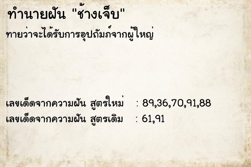 ทำนายฝันช้างเจ็บ ทำนายฝันทำนายฝันช้างเจ็บ