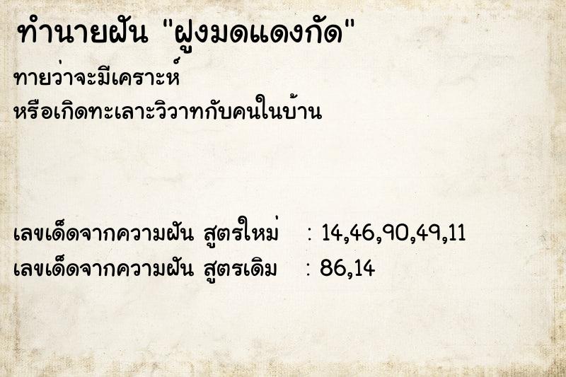 ทำนายฝันฝูงมดแดงกัด ทำนายฝันทำนายฝันฝูงมดแดงกัด