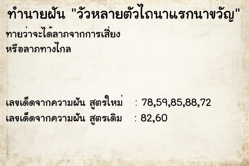 ทำนายฝันทำนายฝันวัวหลายตัวไถนาแรกนาขวัญ