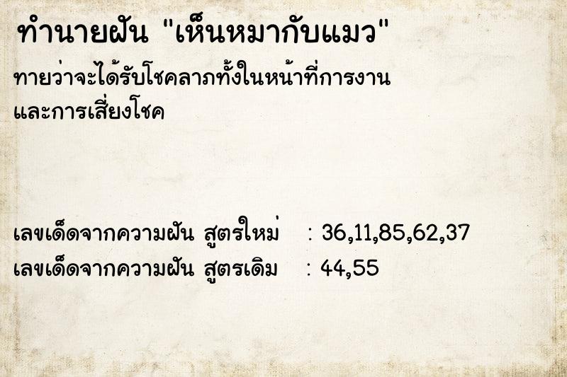 ทำนายฝัน เห็นหมากับแมว ทำนายฝัน เห็นหมากับแมว