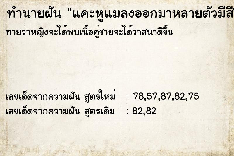 ทำนายฝันทำนายฝันแคะหูแมลงออกมาหลายตัวมีสีดำ