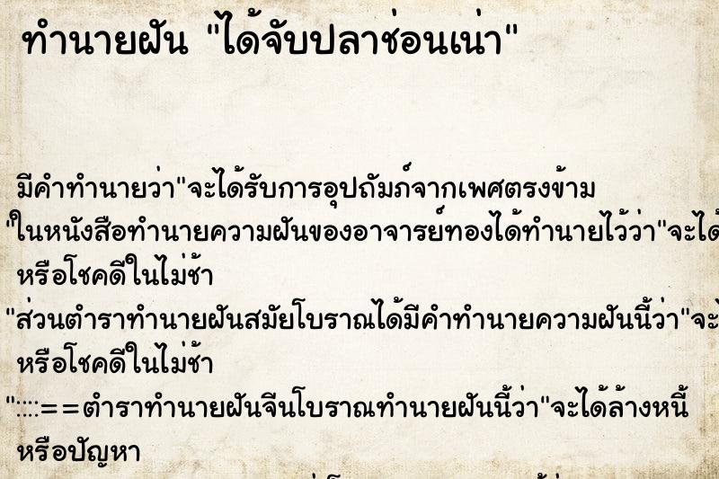 ทำนายฝัน ได้จับปลาช่อนเน่า ตำราโบราณ แม่นที่สุดในโลก