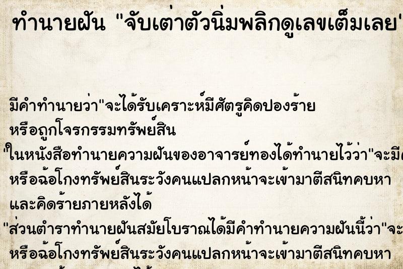 ทำนายฝันทำนายฝันจับเต่าตัวนิ่มพลิกดูเลขเต็มเลย