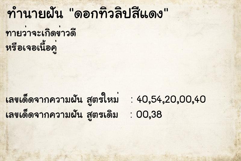 ทำนายฝัน ดอกทิวลิปสีแดง ทำนายฝัน ดอกทิวลิปสีแดง