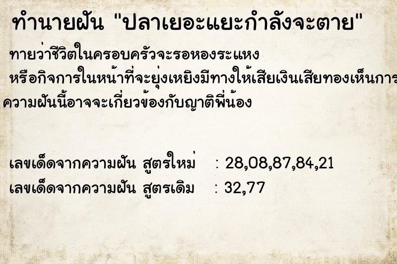 ทำนายฝันปลาเยอะแยะกำลังจะตาย ทำนายฝันทำนายฝันปลาเยอะแยะกำลังจะตาย