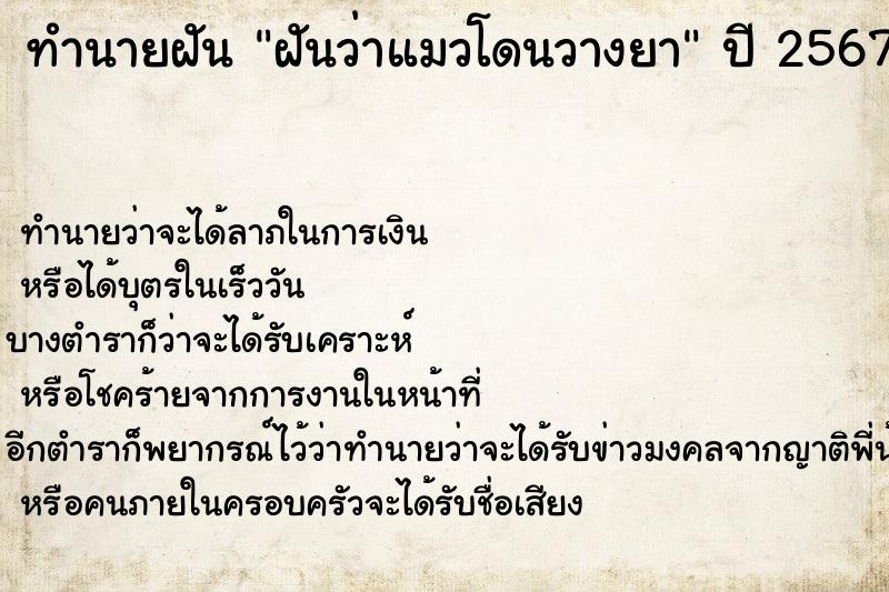 ทำนายฝัน ฝันว่าแมวโดนวางยา ทำนายฝัน ฝันว่าแมวโดนวางยา