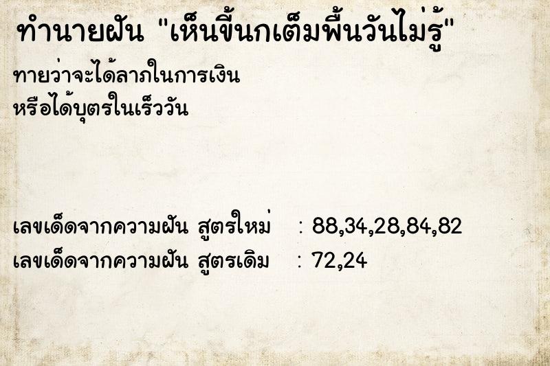 ทำนายฝันทำนายฝันเห็นขี้นกเต็มพื้นวันไม่รู้