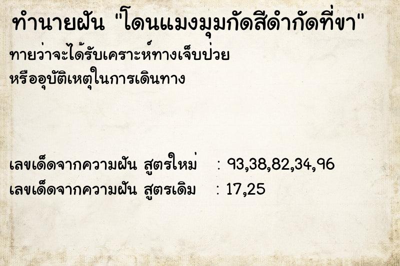 ทำนายฝันทำนายฝันโดนแมงมุมกัดสีดำกัดที่ขา