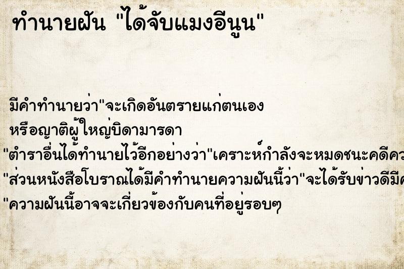 ทำนายฝันทำนายฝันได้จับแมงอีนูน