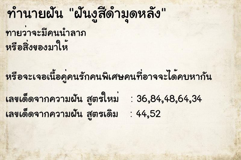 ทำนายฝันฝันงูสีดำมุดหลัง ทำนายฝันทำนายฝันฝันงูสีดำมุดหลัง