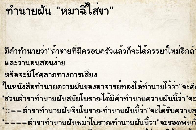 ทำนายฝัน หมาฉี่ใส่ขา ทำนายฝัน หมาฉี่ใส่ขา