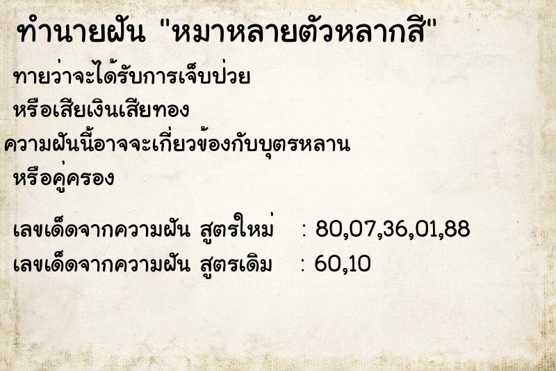 ทำนายฝันหมาหลายตัวหลากสี ทำนายฝันทำนายฝันหมาหลายตัวหลากสี