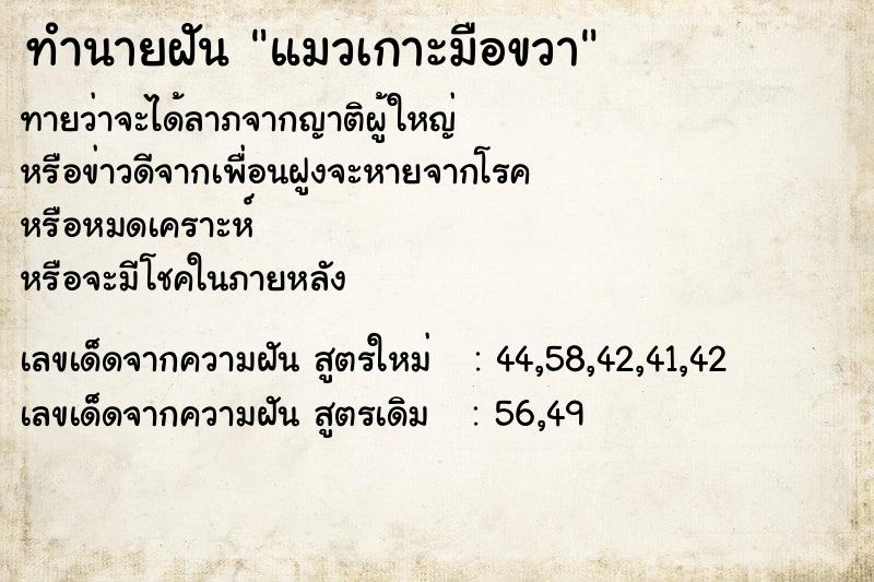 ทำนายฝันทำนายฝันแมวเกาะมือขวา