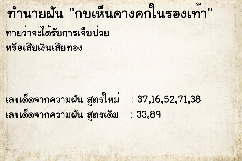 ทำนายฝันทำนายฝันกบเห็นคางคกในรองเท้า