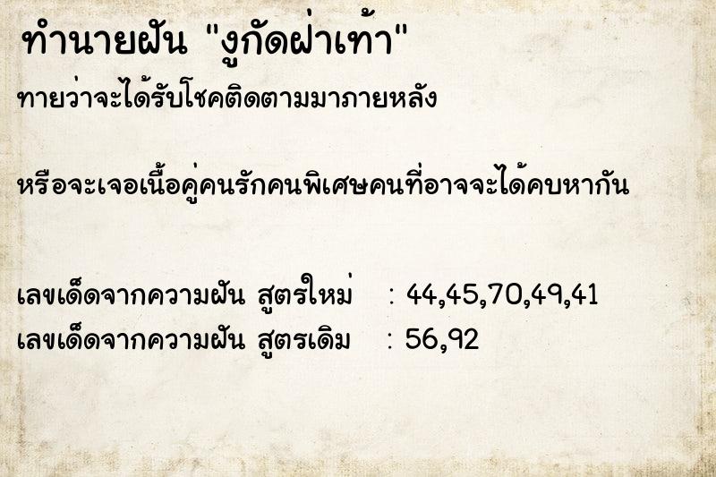 ทำนายฝันทำนายฝันงูกัดฝ่าเท้า