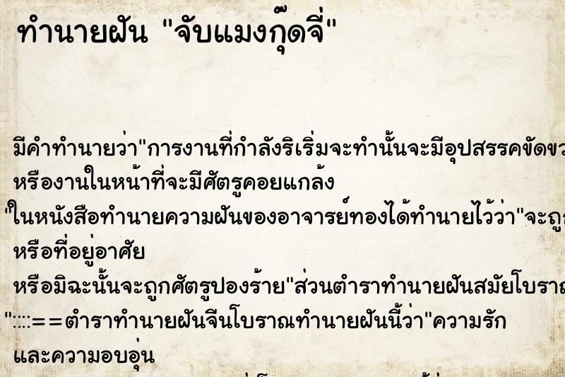 ทำนายฝัน จับแมงกุ๊ดจี่ ทำนายฝัน จับแมงกุ๊ดจี่